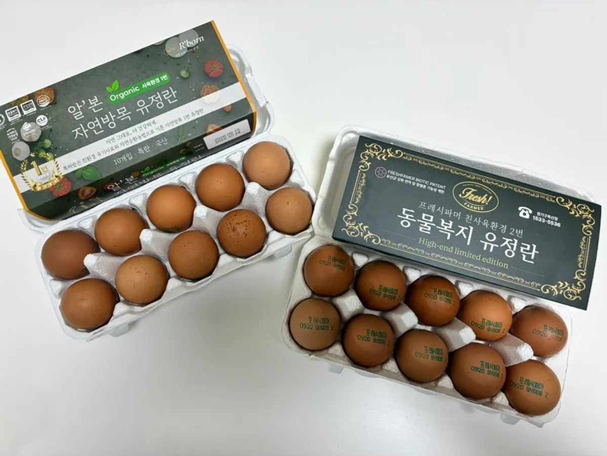 Two 10-packs of grade-1 and grade-2 free-range eggs