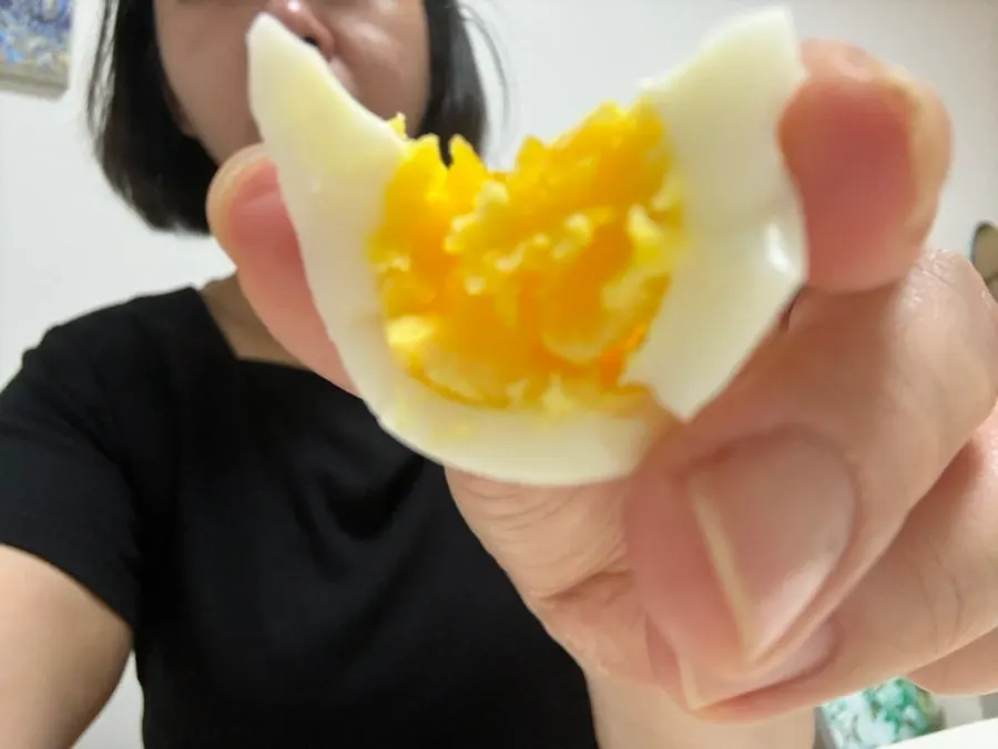 Cross-section of a crumbly boiled egg