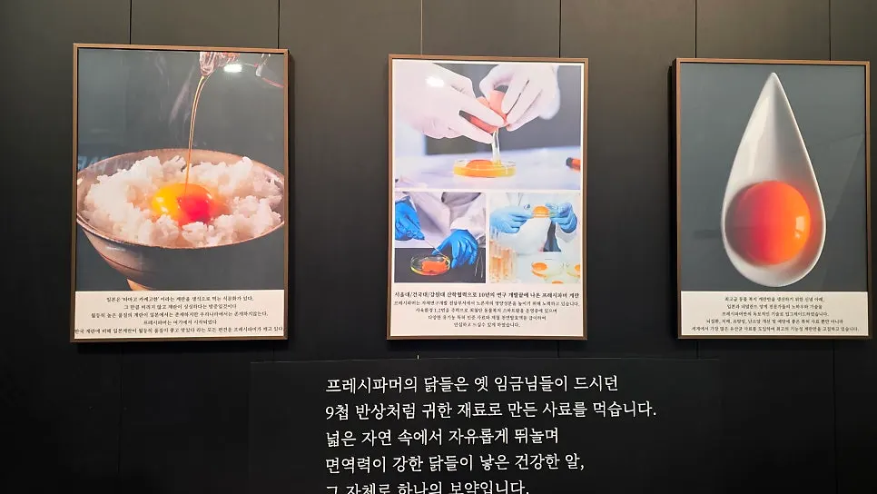 Fresh Farmer egg information material