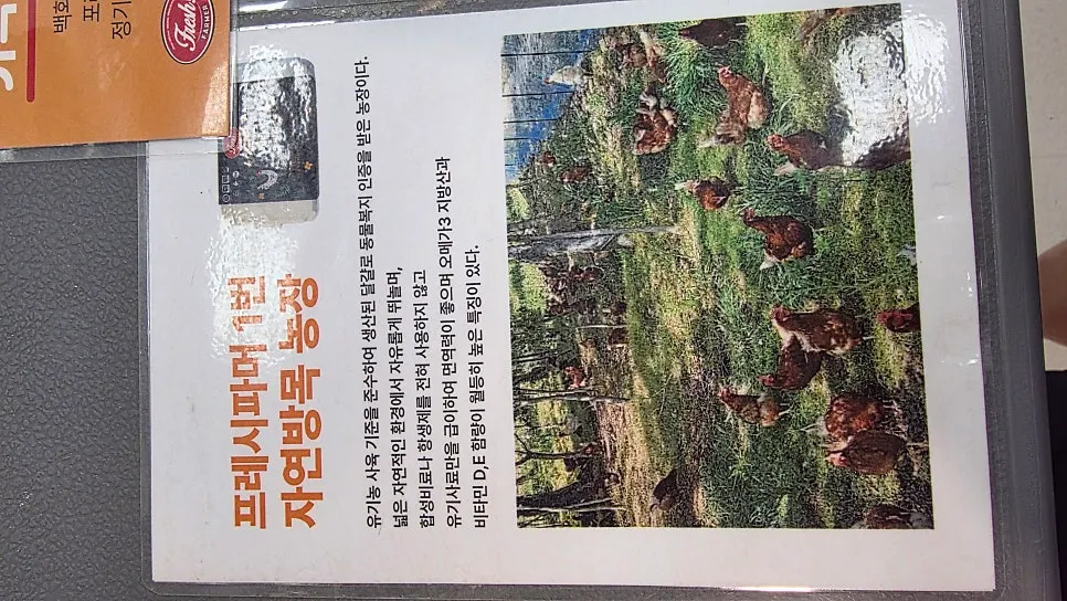 Information on egg rearing conditions