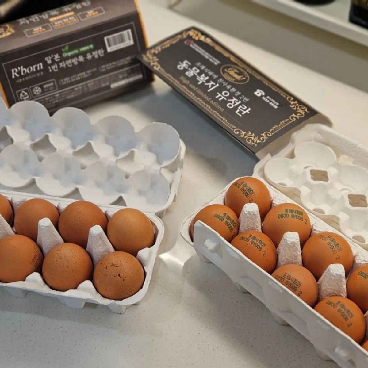 Egg packaging marked with the laying date