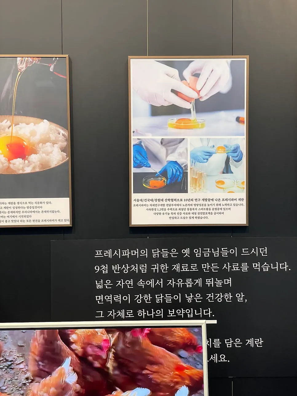 계란 전문점 내부 정보