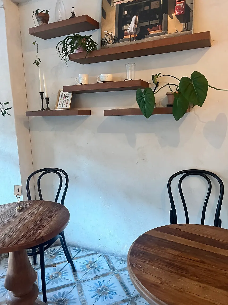 Wall with a gelateria lane painting and plant décor