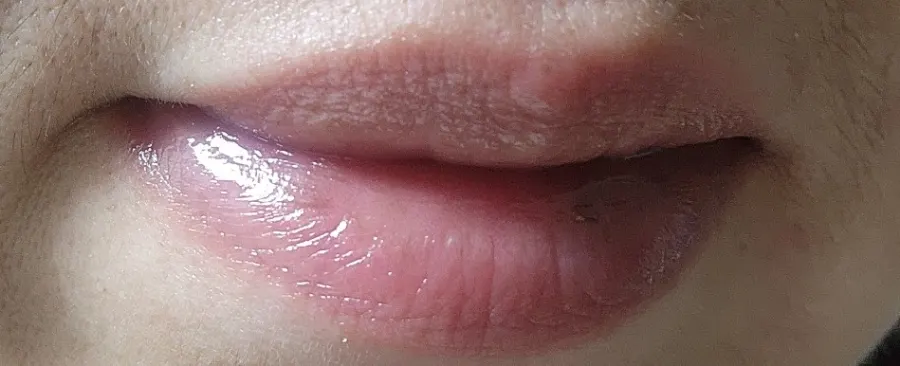 콜라겐 펩타이드 시어버터 립 케어