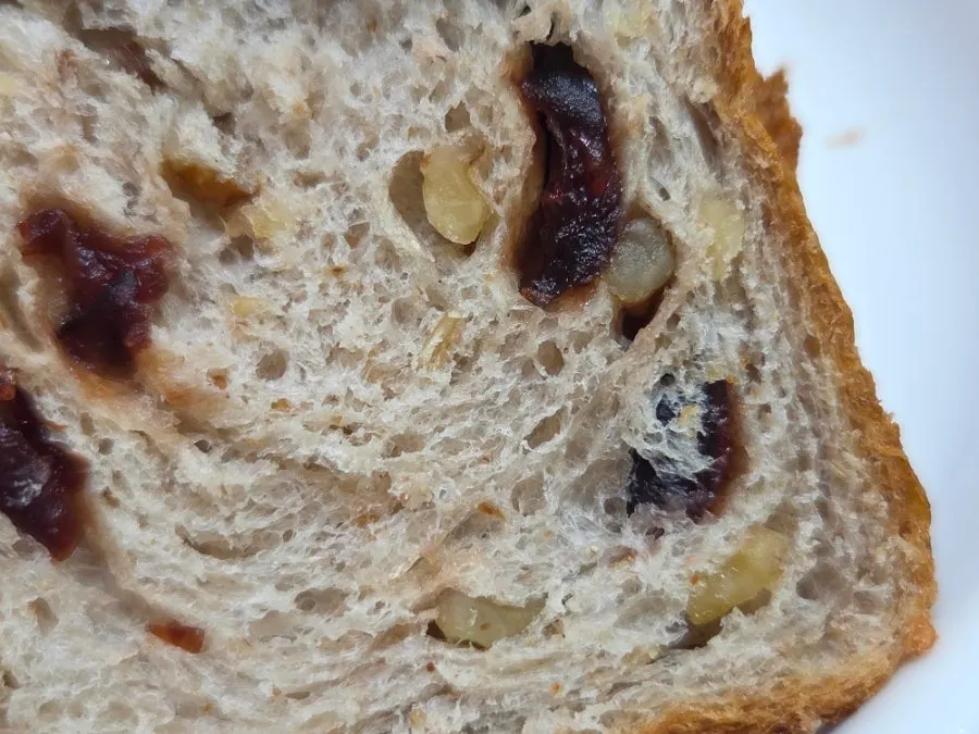 Holding a piece of walnut cranberry rye milk bread