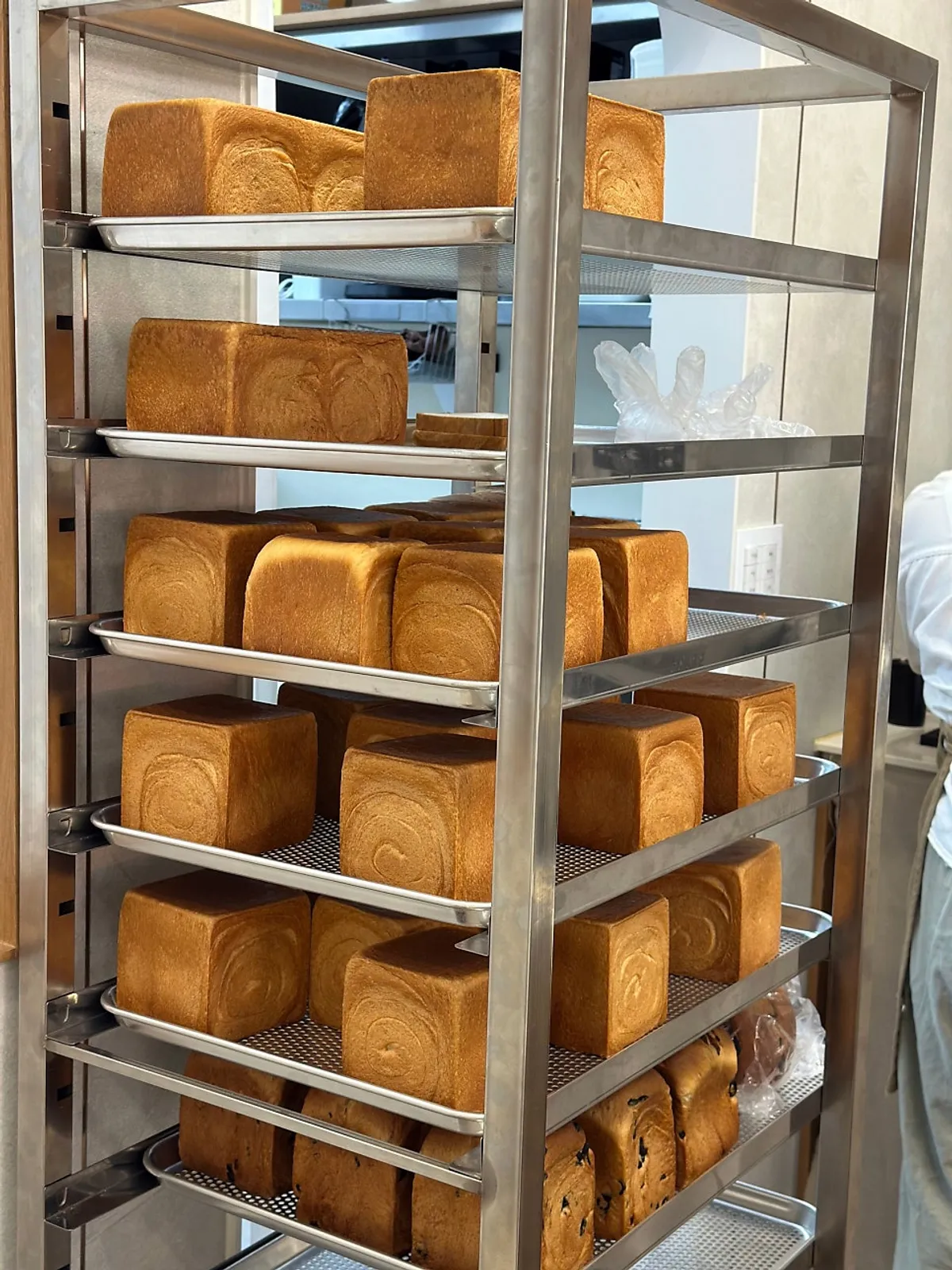 Wall lined with fresh milk bread