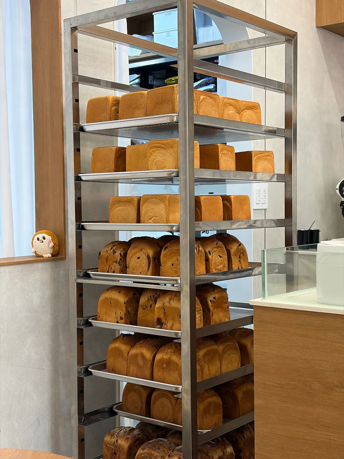 Freshly baked milk bread lined up on display