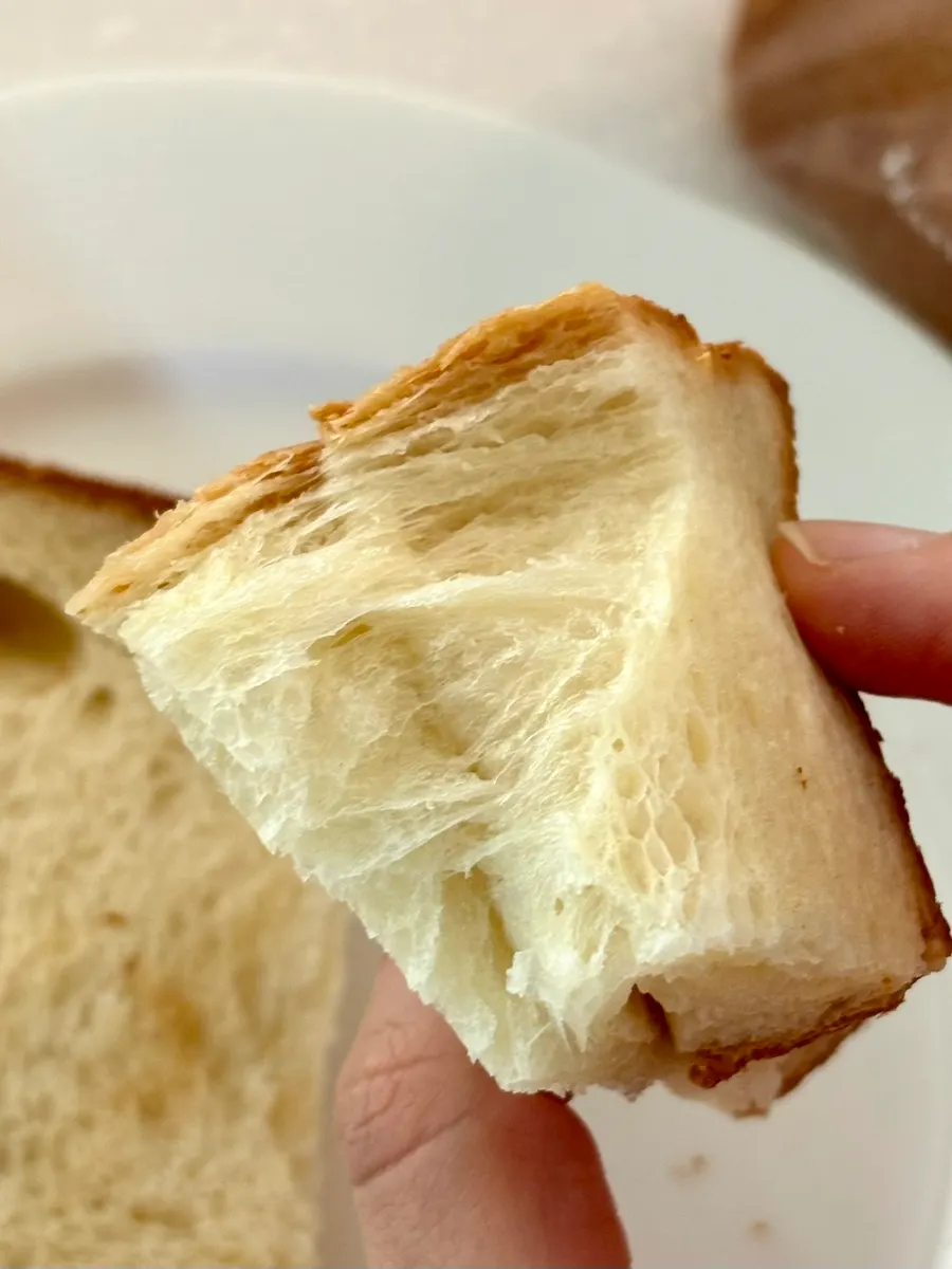Cross-section and grain of milk bread cut at 2cm