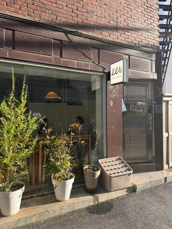 Coffee and dessert at a sunlit table