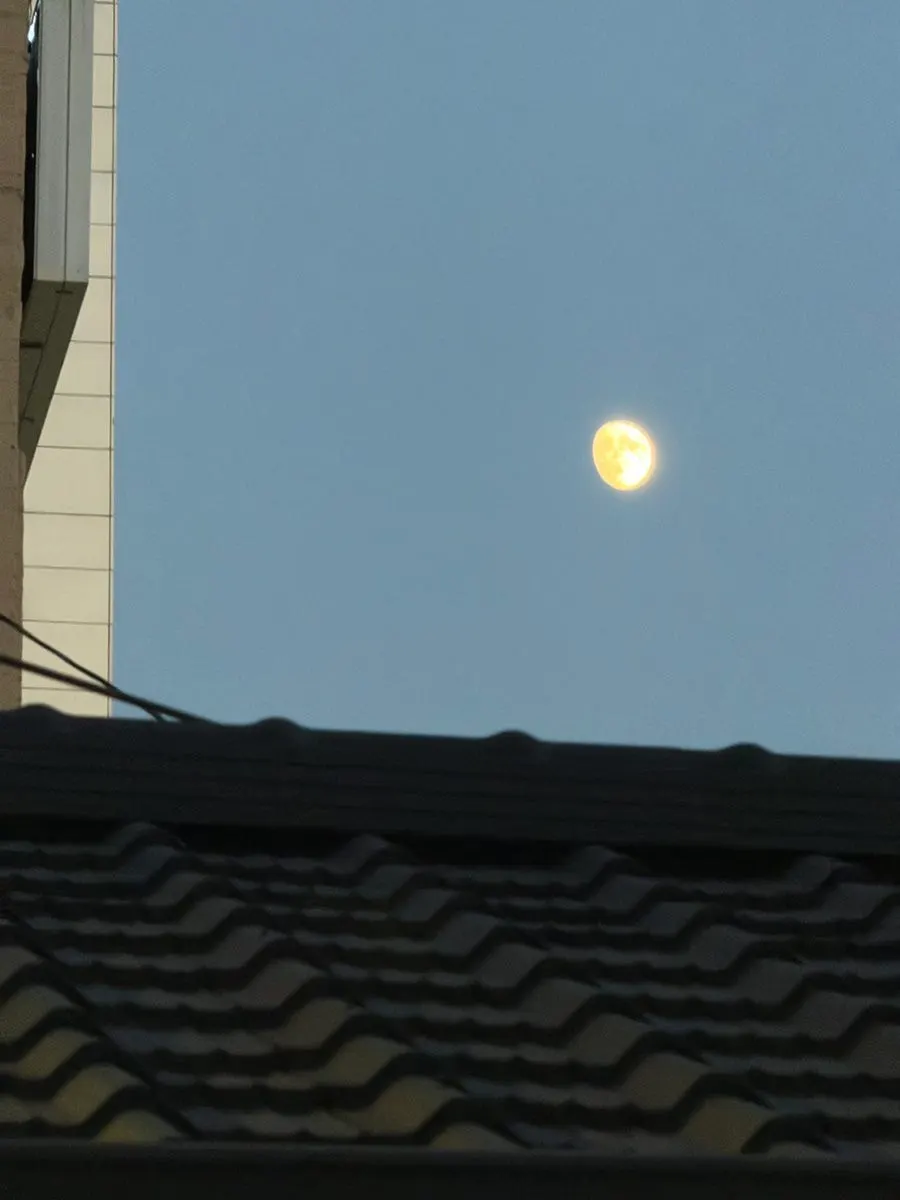 カフェからの帰り道に撮った夜空の月