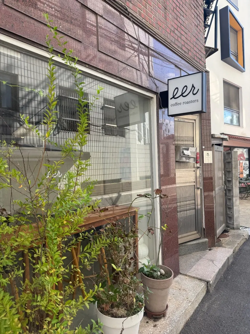 Café entrance with green potted plants