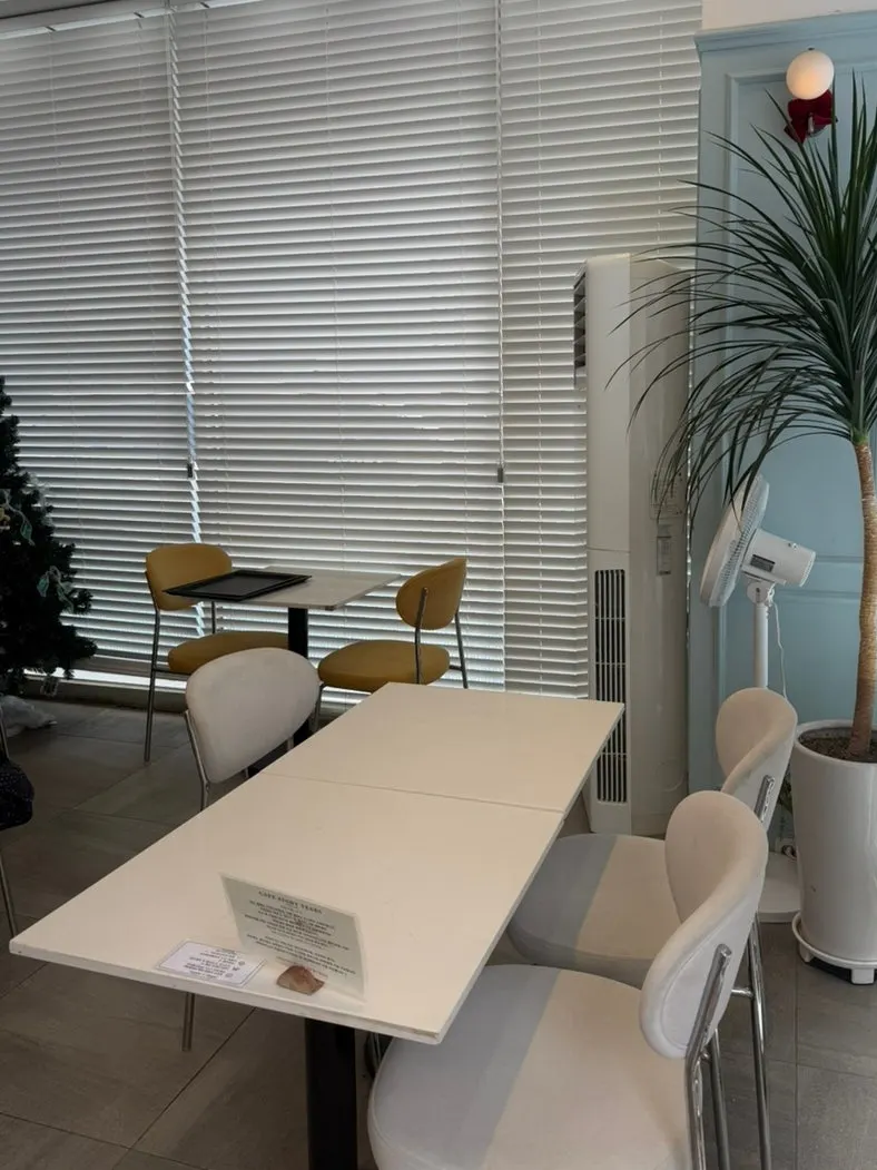 Cleanly decorated interior of the restaurant