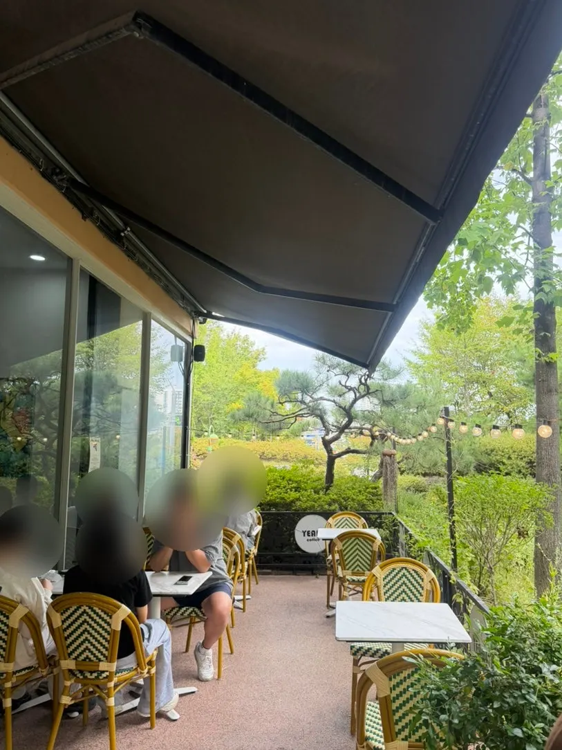 Sunlit terrace table