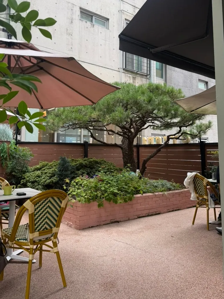 View of the surroundings from the terrace