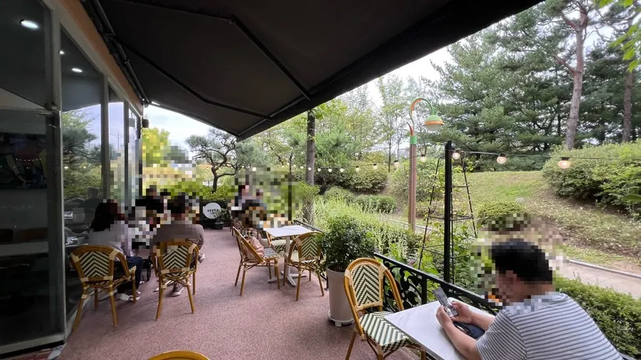 Dense trees of the Baekhyeon-dong park seen from the terrace