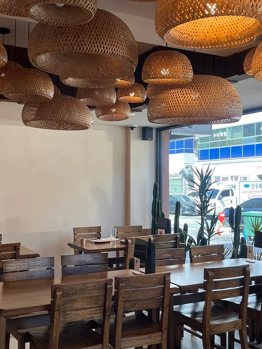 Interior of Elato Bundang decorated with cacti
