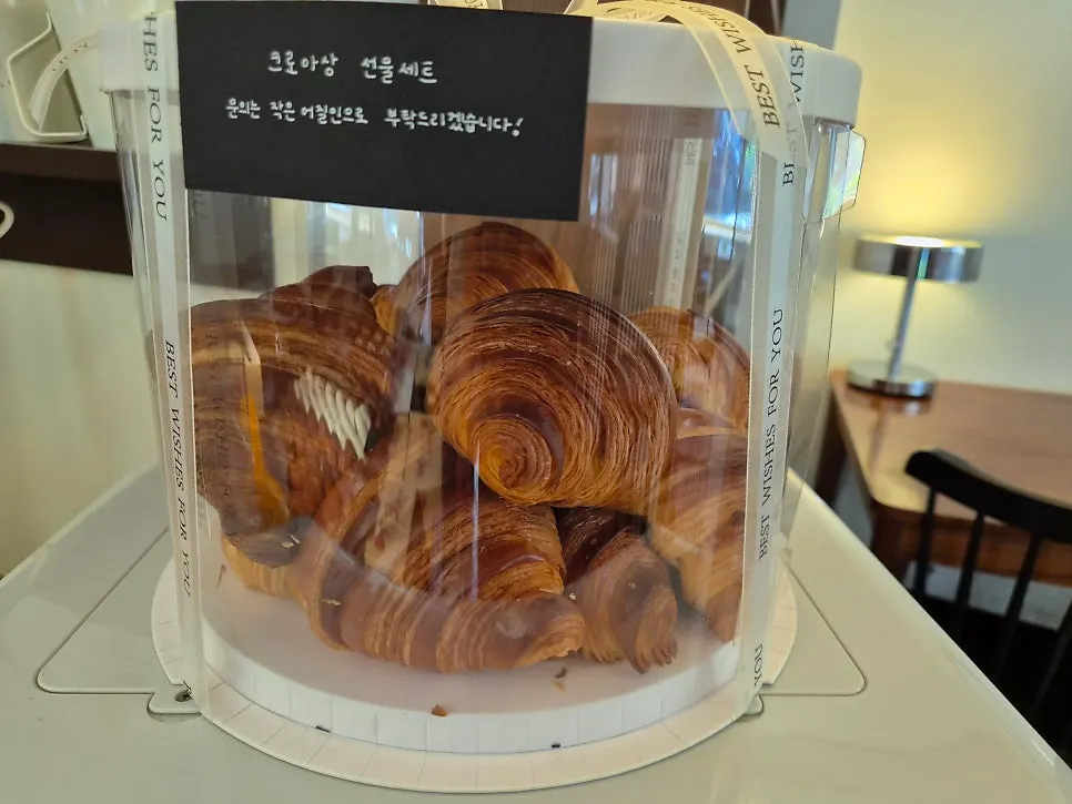 쇼케이스에 진열된 마들렌과 휘낭시에