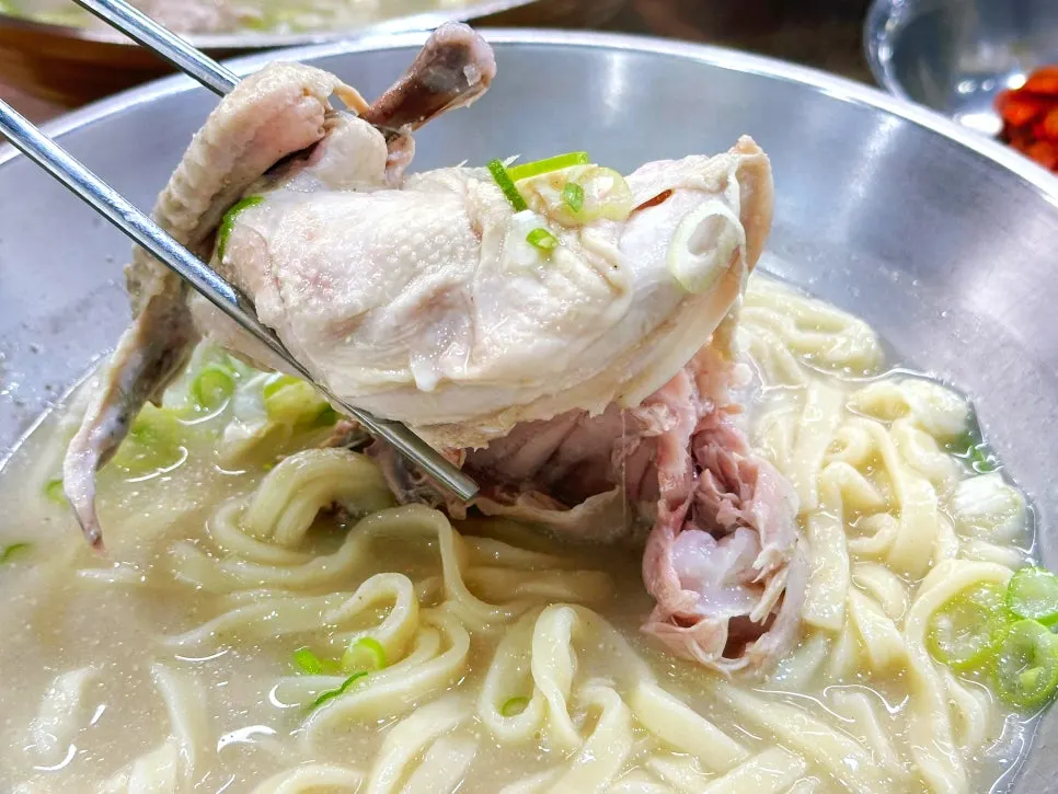 닭 반마리가 통째로 들어간 닭칼국수