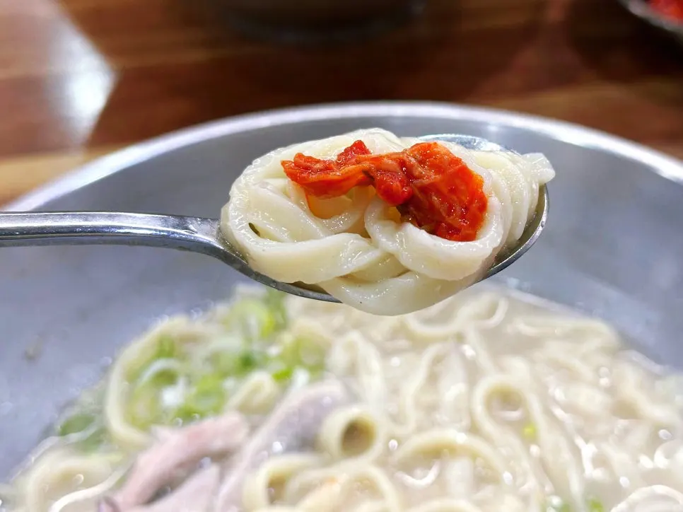 쫄깃한 칼국수 면 건져올린 모습