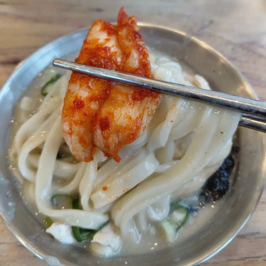 결대로 찢은 닭고기와 칼국수 면발