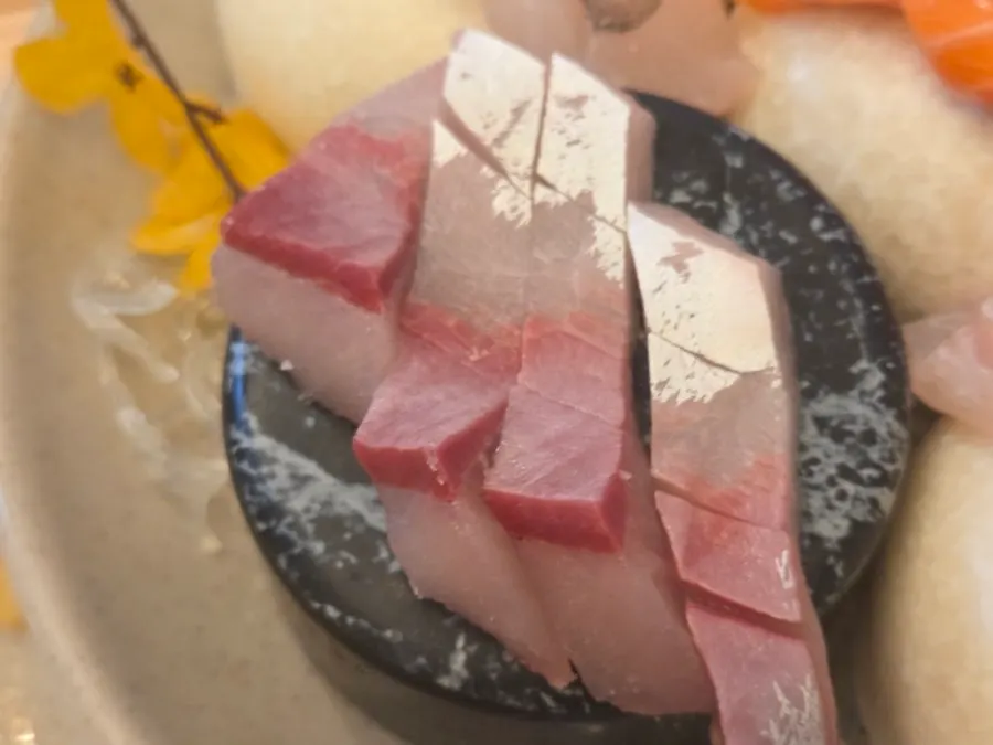Various types of fish in the seasonal assorted sashimi
