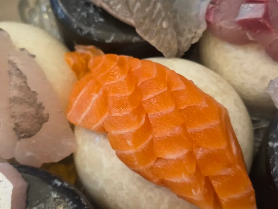 Close-up of the seasonal assorted sashimi