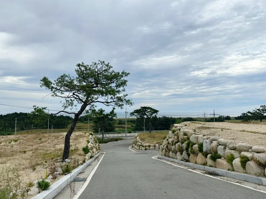 모듬회와 광어 우럭 매운탕이 적힌 메뉴판