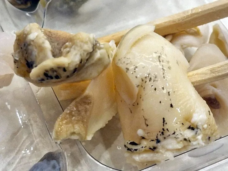 제철 밀치가 섞인 모듬회 클로즈업