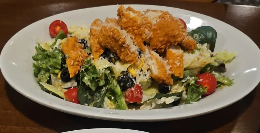 치즈와 블랙 올리브가 뿌려진 치킨 샐러드 클로즈업