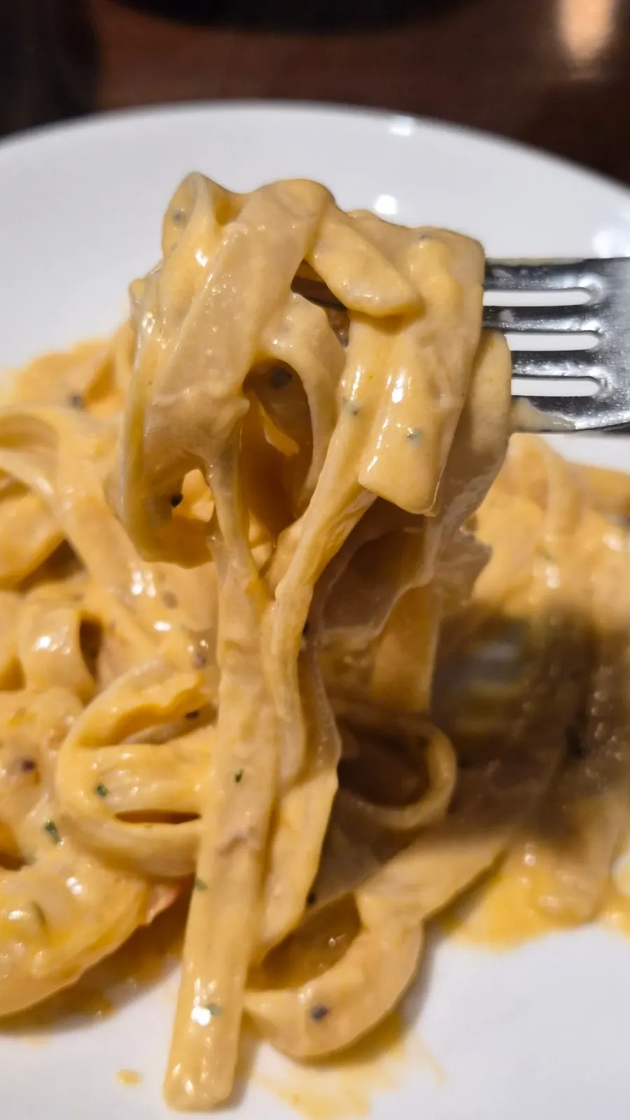 Toowoomba pasta being served onto a plate