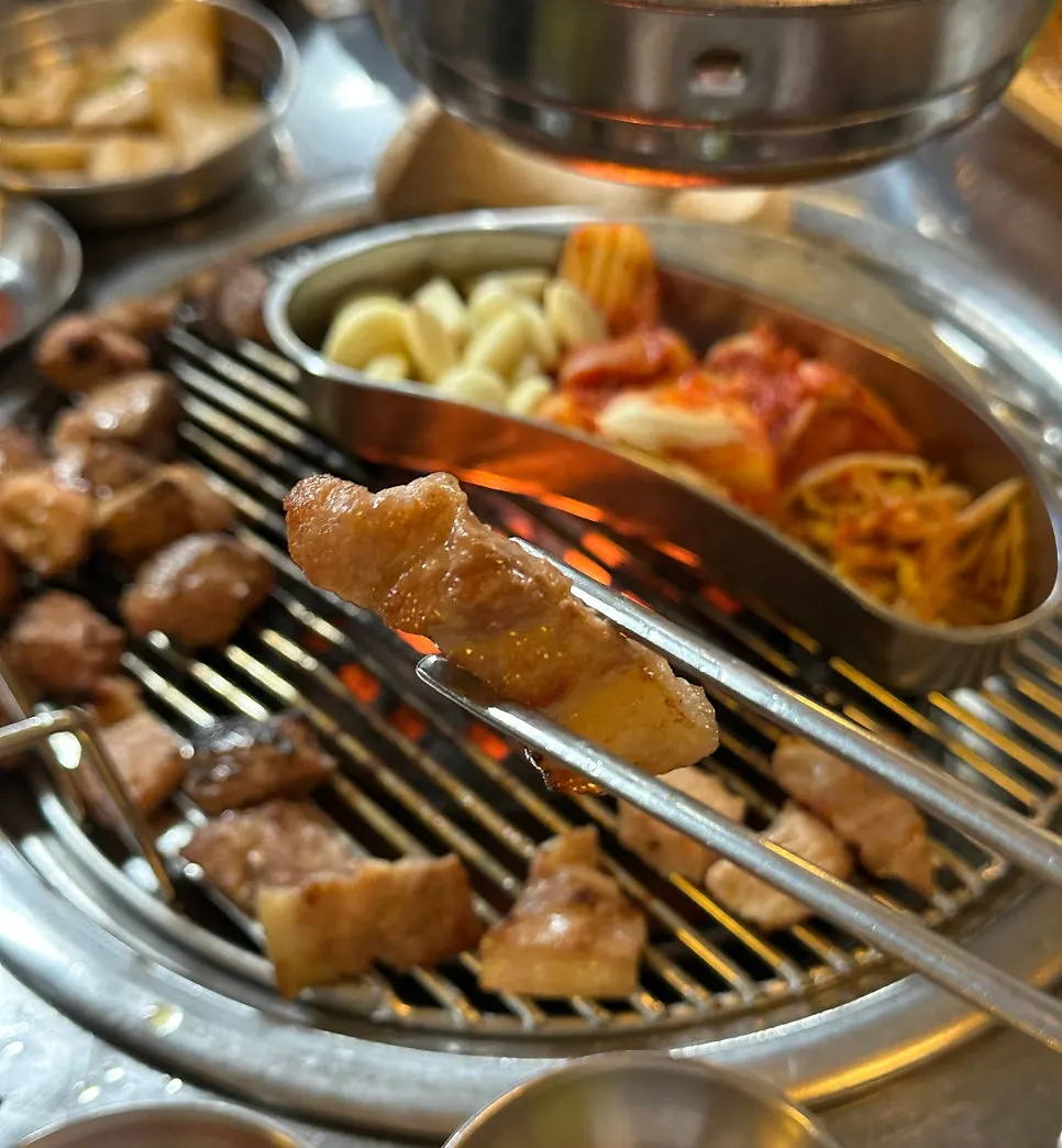 노릇하게 구워진 고기 한 점