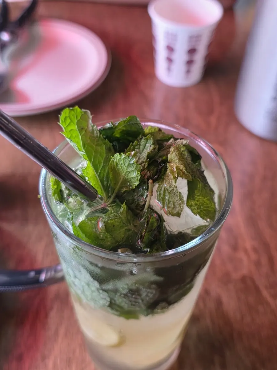 Close-up of the mojito highball topped with mint