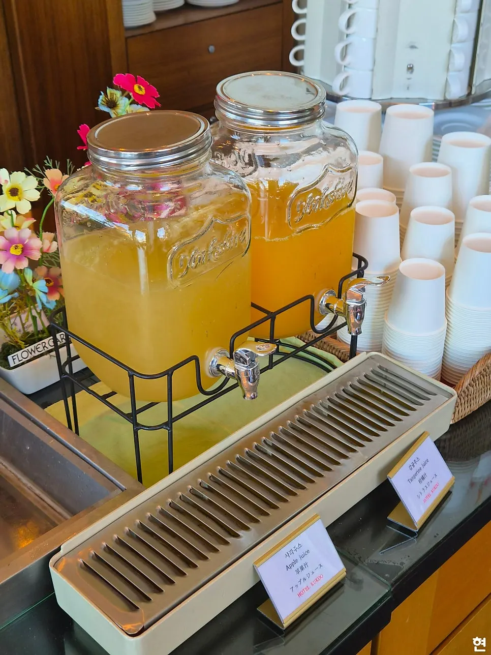 Fruit section with oranges and grapefruit