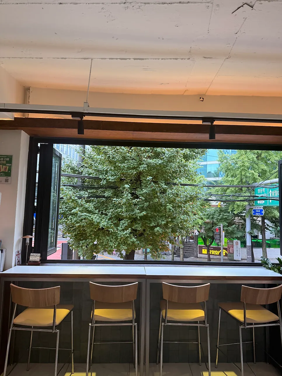 Window seat with lush green street trees close by