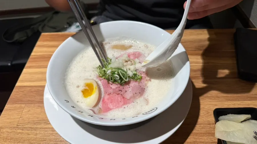 토핑이 올라간 토리파이탄 한 그릇