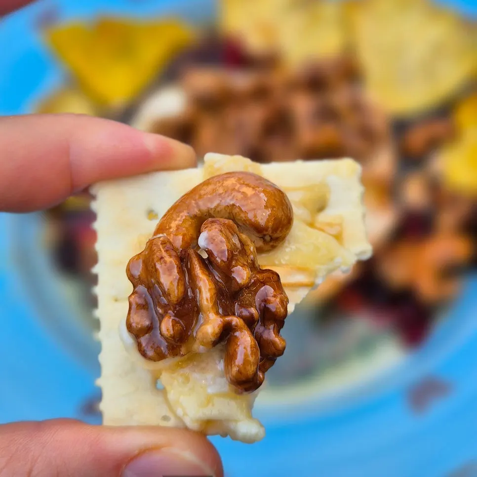 Crackers served alongside the grilled brie