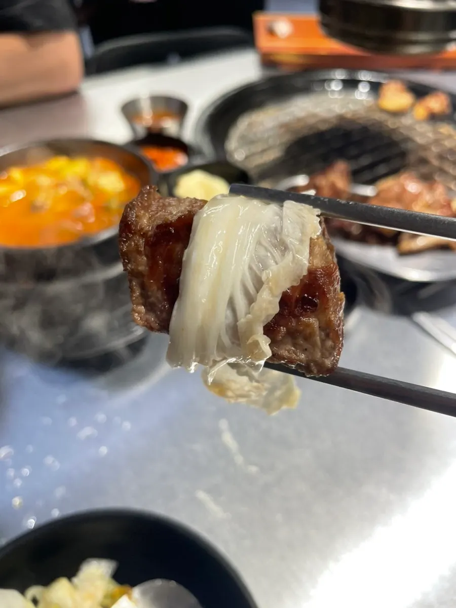 A piece of grilled pork