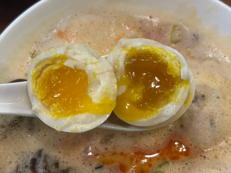 닭고기 완자 꼬치 쯔쿠네차슈