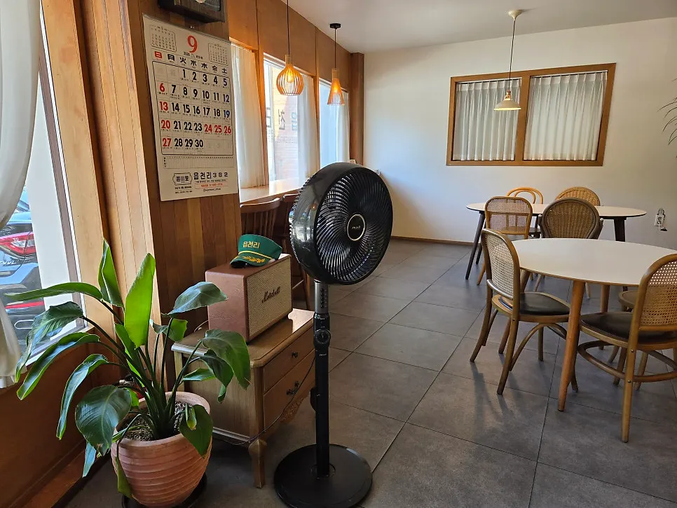 Café table area with potted plants