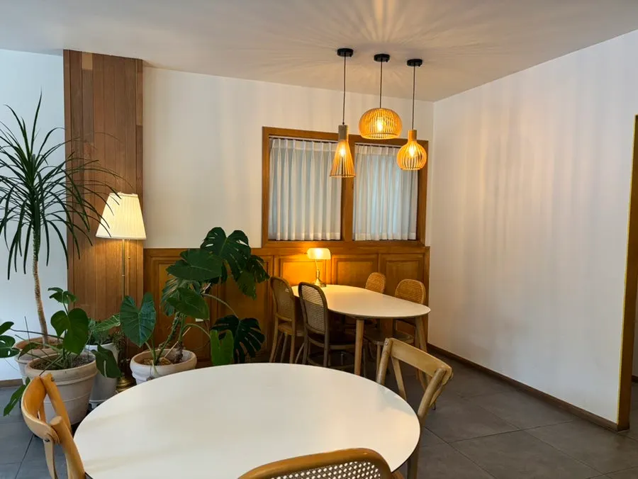 Interior decorated with retro props and plants
