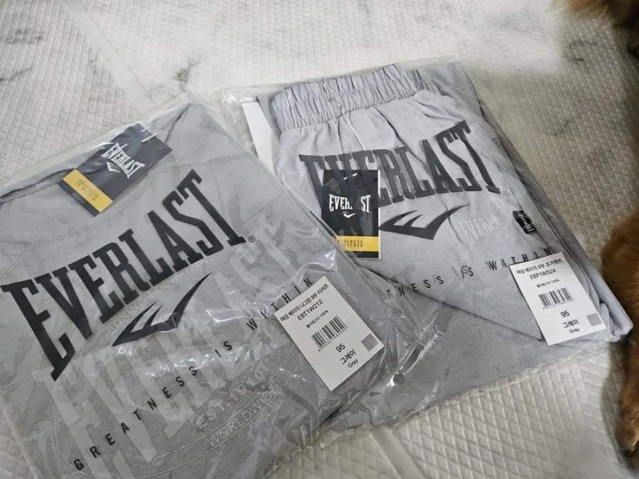 Everlast One-Mile Wear sweatshirt and jogger-pants set