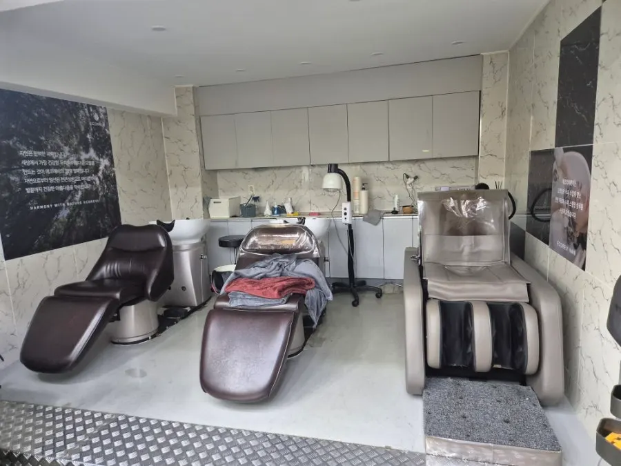Wide shot of the salon interior
