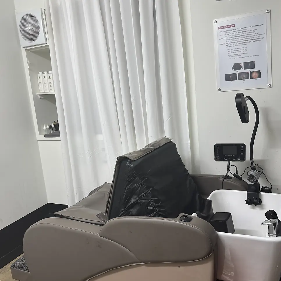 Scalp mist treatment process