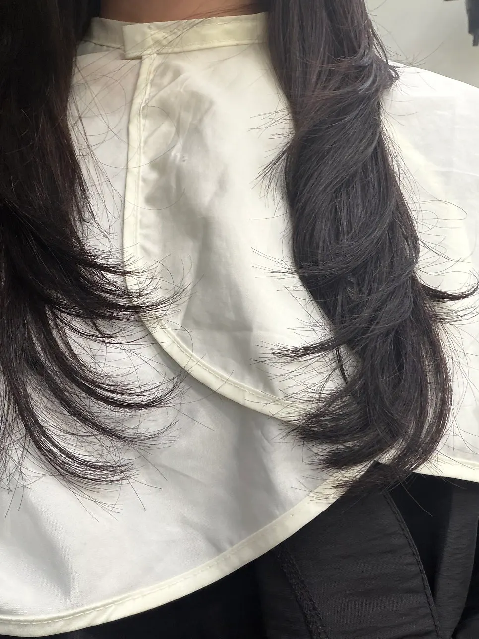 Back view of long hair with trimmed ends