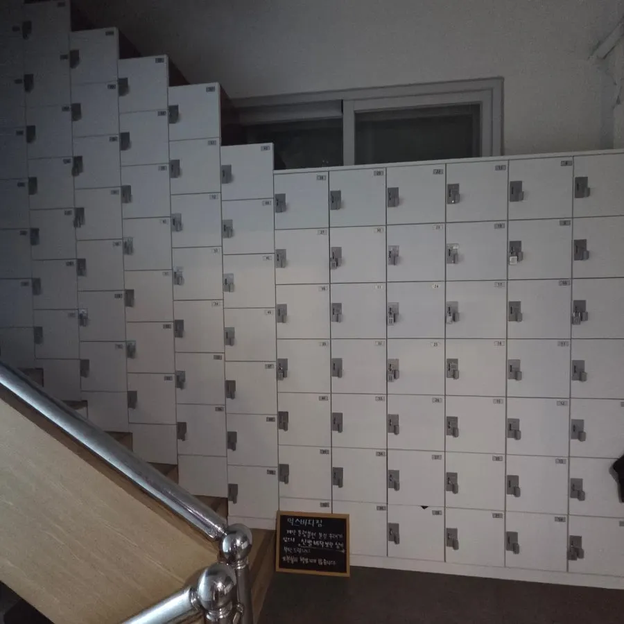 Neatly arranged gym interior space