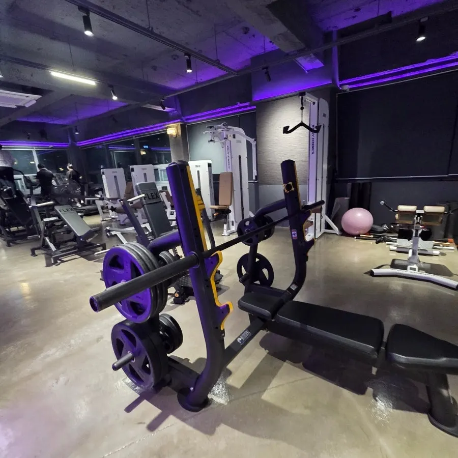 Free weight dumbbell and barbell area