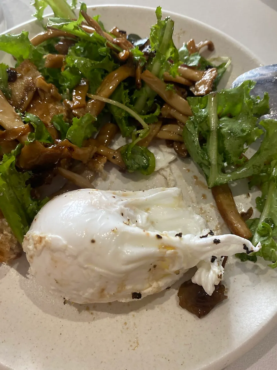 Close-up of mushrooms on the toast