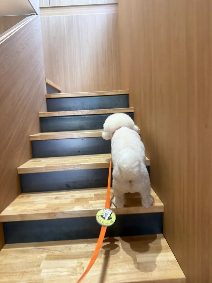 2층으로 올라가는 계단