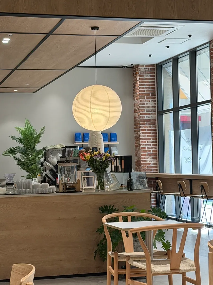 Cozy overall view of the café interior