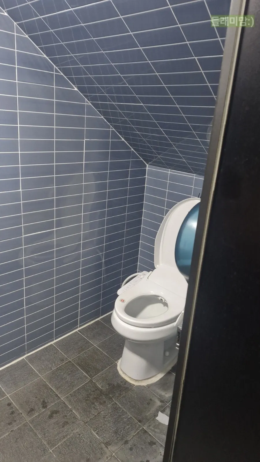 A neatly kept women's restroom space